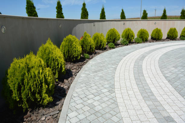 Reliable Coal Valley, IL Driveway Pavers Solutions